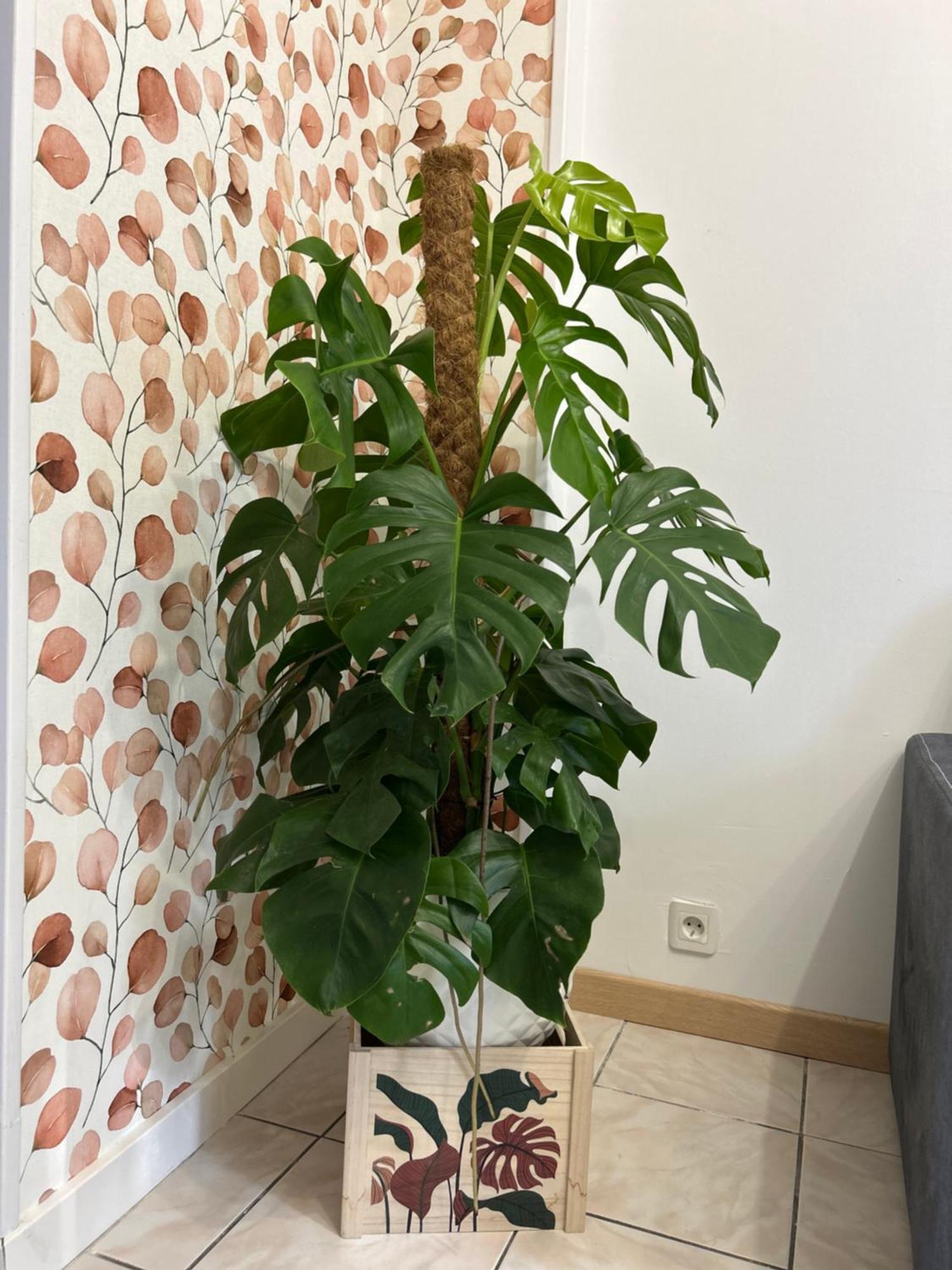 Home Lyla 第戎 外观 照片